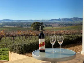 1837 Barossa Luxury Vineyard Cottage, Lyndoch SA - Image 3