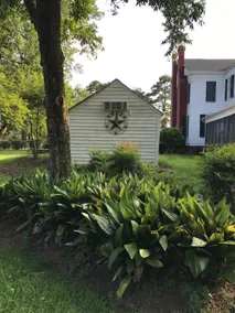 Pecan Shelling House - 35 Mins to Univ of Alabama - Image 5