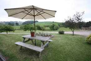 Willow Cottage is set in a beautiful Devon valley - Image 3