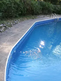 Mansion/ In-ground Pool near Mt Penn - Image 5