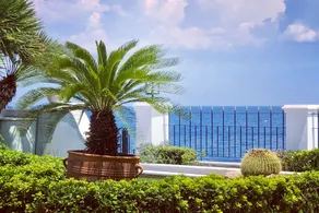Villa Dolphin Akrata - Image 4