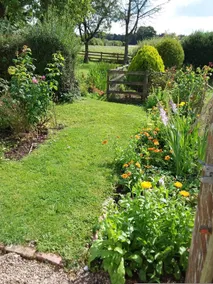 Cottage at Grove Court Stud Farm - Image 5