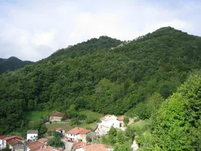 The Viewpoint of Redes, Campo de Caso - Image 4