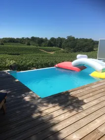 Panoramic villa with pool on our vineyard - Image 2