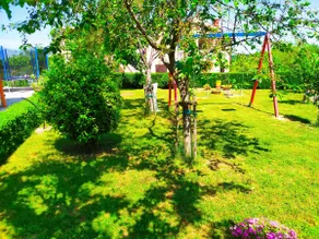 Kuća za odmor - apartman Vito - Image 3