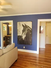Sunny Virginia Equestrian Cottage - Image 3