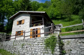 BETWEEN THE FOREST AND THE LAKE - Image 2