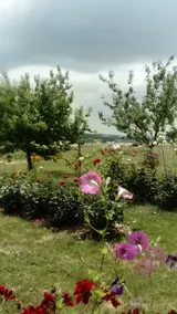 Rose Garden Cottage - Image 4