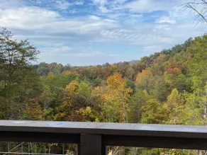 Smoky Mountain Cabin Fire Pit Near Waterparks - Image 5