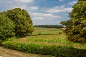Country cottage with beautiful views - Image 5