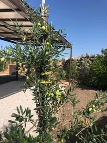Κάλλος country house with exclusive swimming pool - Image 2
