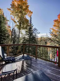 MCHARRADISE! All Seasons Cozy Waterfront Cottage - Image 5