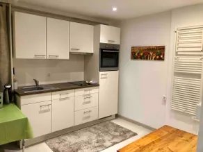Big Apartment with garden Rapperswil-Jona - Image 4