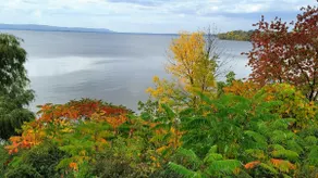 Lakeview Home, Bedrooms Riverside, Kingbed suite! - Image 3