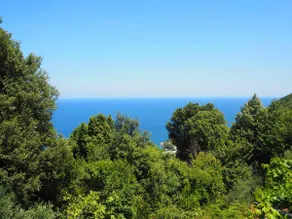 Pelion mountain lodge - Image 5