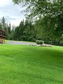 Hemler Creek Cedar Cabin - Image 5
