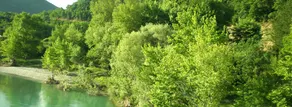 Bourazani Fteri - Image 4