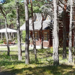 Loojangu, beautiful loghouse by the sea - Image 2