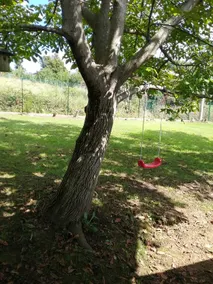 Monica's Garden - Image 4