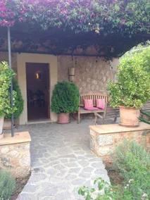 Ses llimoneres - Image 5