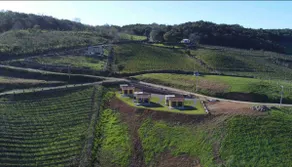 Valley of the Vineyards - Vinsanto Cabins - Image 5
