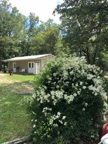 RGM Farms Guesthouse, rural tranquil setting for family & friends to enjoy. - Image 2
