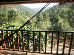 Casa Velha - Image 4