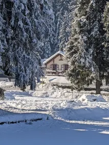 Sublime Chalet 8p facing Mont Blanc - Image 2