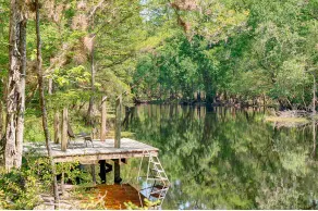 Family Treehouse on The Santa Fe River - Image 2