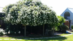 The Writer's Studio, Barossa - Image 4