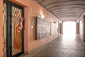 SUITE LATIN SANO LEONARDO - Image 4