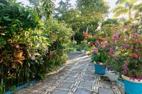 Casa Bosque Florido - Image 5