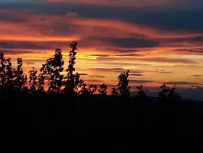 The Chianti Classico Sunset - Image 4
