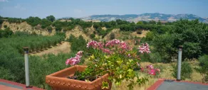 Masseria Missosero for max 13 people - Image 5