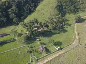 Haras dos querubins - Image 3