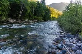 Rivers Edge ~ Riverfront, Acreage and Views - Image 4