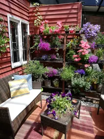 Tiny House - Image 5