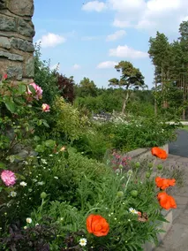 The Old Farmhouse\n3 bed det cottage Hot Tub, Dog/cat friendly  onsite fishing - Image 5