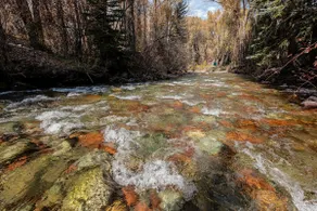 Exquisite Creekside Suite in the Heart of Aspen #2 - Image 4