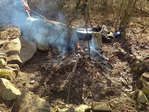 The Pepoon at Camp Chet (930 forested acres!) - Image 5