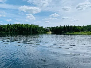 Tranquil, 10 Acre Private, Waterfront, Getaway! - Image 3