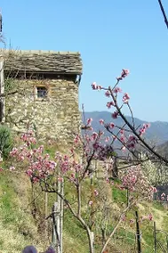 Il Càssero - Image 2