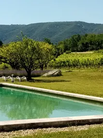 Quiet with panoramic view, pool and fireplace - Image 3