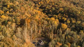 THE WHITE CABIN - ein von MCM / Anthro inspirierter Rückzugsort in ländlicher Umgebung, 6 km von der Innenstadt entfernt - Image 2
