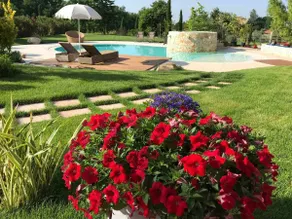 An amazing corner surrounded by 900 olive trees - Image 4