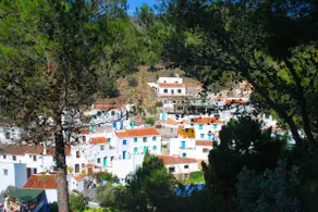 CASA ALMIJARA Tradition and charm - Image 3