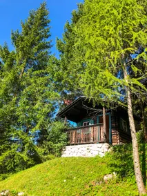Dahoam for 4 in Mariazell - Image 2