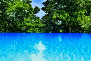 Villa Ferlini in Central Istria with private 10000 m2 garden, wellness & family activities on plot - Image 4