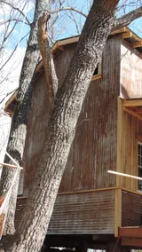 Peach's Paradise Eco-Cabin & Bath In The City! - Image 3