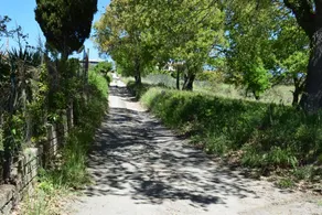 Rustic country house ”Poggio della lestra” - Image 3